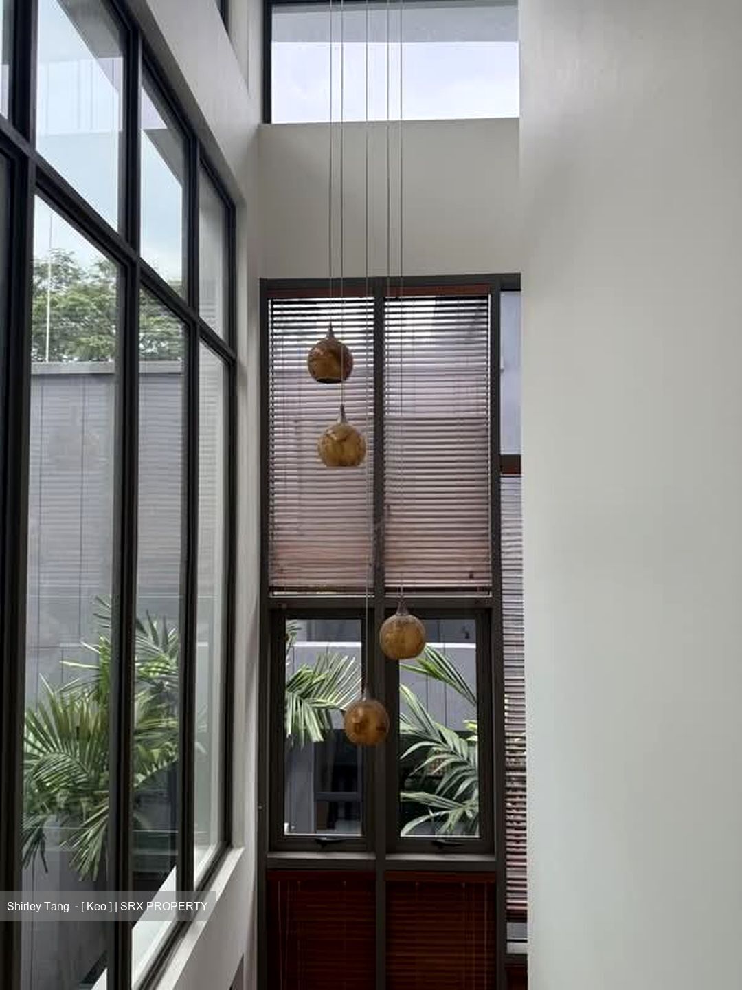Chancery Lane (D11), Detached #568174961